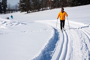 Cross-Country Skiing, Trail, Trace, Binding